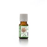 Caraway Seed Essential Oil Organic - 10 Ml