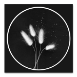 B&w Rounds 1 Art Print - 100 X 100CM No Frame Print Only