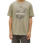 Boys Adventure Stamp Ss T-Shirt Laurel Green