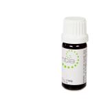 Escentia Rose Otto Pure Essential Oil - 10ML