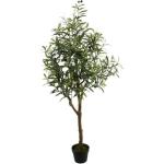 Olive Tree - 150CM