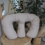 Twins Feeding Pillow Cover And Inner Beige