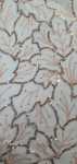 Leaf Sequince Tulle