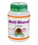 Willow Multi Mineral 60 Capsules