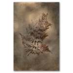 Earthy Ferns 4 Art Print - A4 No Frame Print Only