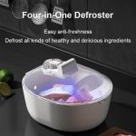 Zs - 4 In 1 Meat Defroster thawer