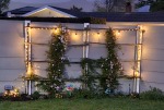 Click & Plant Online Nursery