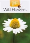 Wild Flowers Paperback New Edition
