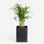 Emerging Creatives Square Sven Floor Planter - Black