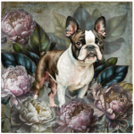 BOSTON FSC2387 Printed Panel Terrier