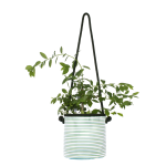 Hanging Green Stripy Planter - Medium