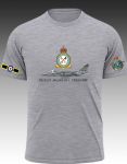 Sepecat Jaguar GR1 16SQN Raf
