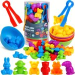 Counting Toys Matching Games With Sorting Bowls Preschool Learning Activities Sorting Sensory Early Educational Montessori Stem