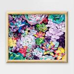 Adult Paint By Numbers With Frame - Glowing Succulents