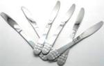 Casey Catering 6 Piece Stainless Steel Dinner Knives Set
