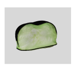 Pvc Toiletry Bag Green
