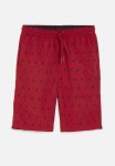 Polo Boys Bradley Monogram Beach Short - Red