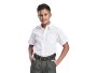 Unisex Short Sleeve School Shirt