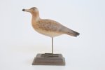Tern On Base 24X26CM