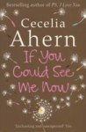 If You Could See Me Now Paperback