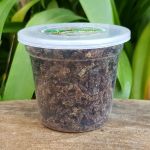 Rautenbach Apiaries – Raw Propolis Flakes 50G