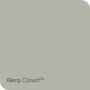 Dulux Weatherguard Exterior Fine Textured Paint Berg Cloud 20L