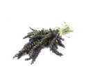Flowers Lavender Bunch 10 Stems P