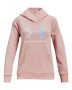 Girls' Ua Rival Fleece Core Logo Hoodie - Retro Pink / Yxs