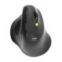 Port Connect ERGO SOFT Multi-Device Wireless Ergonomic Mouse