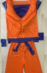 Dragon Ball Z Goku Padded Costume