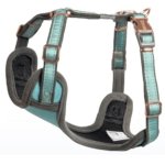 Rogz Urban Comfy Medium Dog Harness - Turquoise Moon Waggs Online Pet Shop