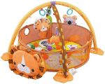 Activity Gym And Ball Pit