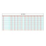 JD7021 Analysis Series 7 Oblong 144PG 21 Column On 2PG Cash Each