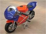 Ducati Lenova Motogp Replica Cag Model