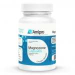 Amipro Magnozone 60S