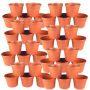 Garden Round Pot Plant Set Of 100 10CM
