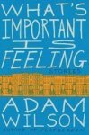 What& 39 S Important Is Feeling: Stories Paperback