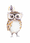 Boho Woodlands Owl - Canvas Print - 600MM X 600MM