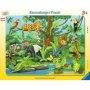 Frame Jigsaw Puzzle - Animals In The Rainforest