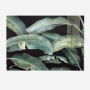 Paper Placemats - Banana Leaves