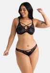 Plus Tessa Brazilian - Black