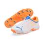 Puma Spike 22.1 Cricket Shoes - UK 10