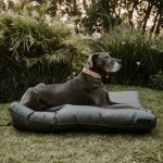 Kalahari Napper Bed