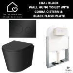 Coal Black Wall Hung Toilet With Cobra Cistern & Black Flush Plate