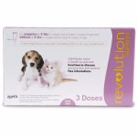 - Puppy kitten - Pink Box 0 To 2.5KG
