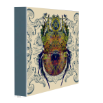 Glaresis Beetle Art Print - 100CM X 100CM Stretched Canvas
