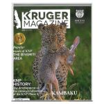 Kruger