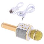 Wireless Microphone Karaoke Speaker For Smartphones – Gold