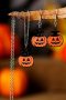 Carrot Pumpkin Face Halloween Necklace Earrings Jewelry Set - Carrot / One Size