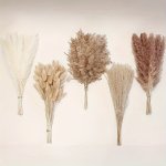 Value Pack 110PCS Pampas With White Dried Rabbit Tail Flowers Boho Style Decoration Pampas Grass Bathroom Decoration Bathroom Wa